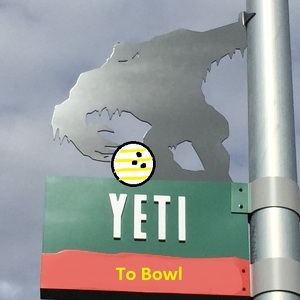 Team Page: Yeti to Bowl!